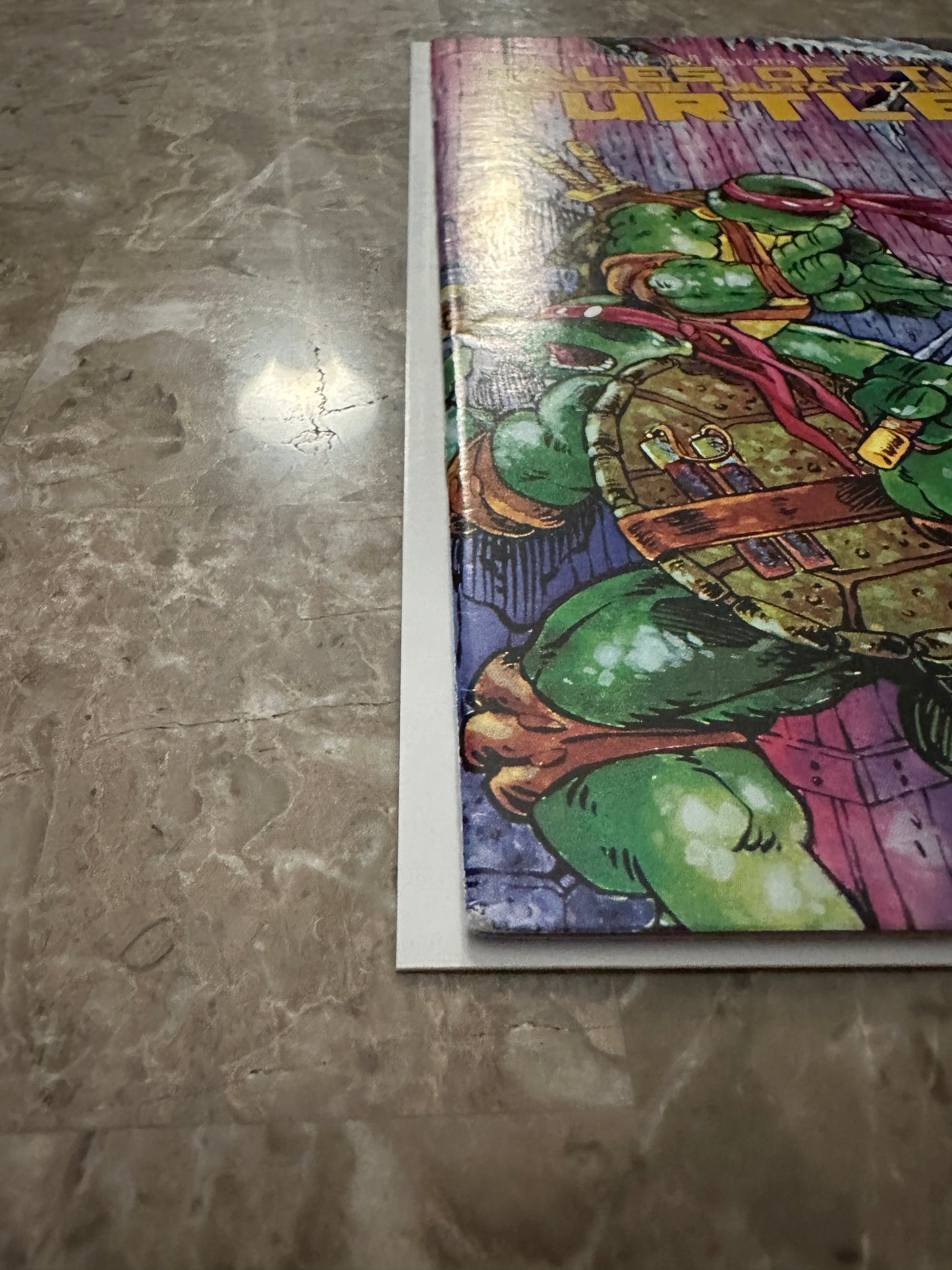 Tales of the Teenage Mutant Ninja Turtles #1 VF+ 8.5 (1987 Mirage Studios)