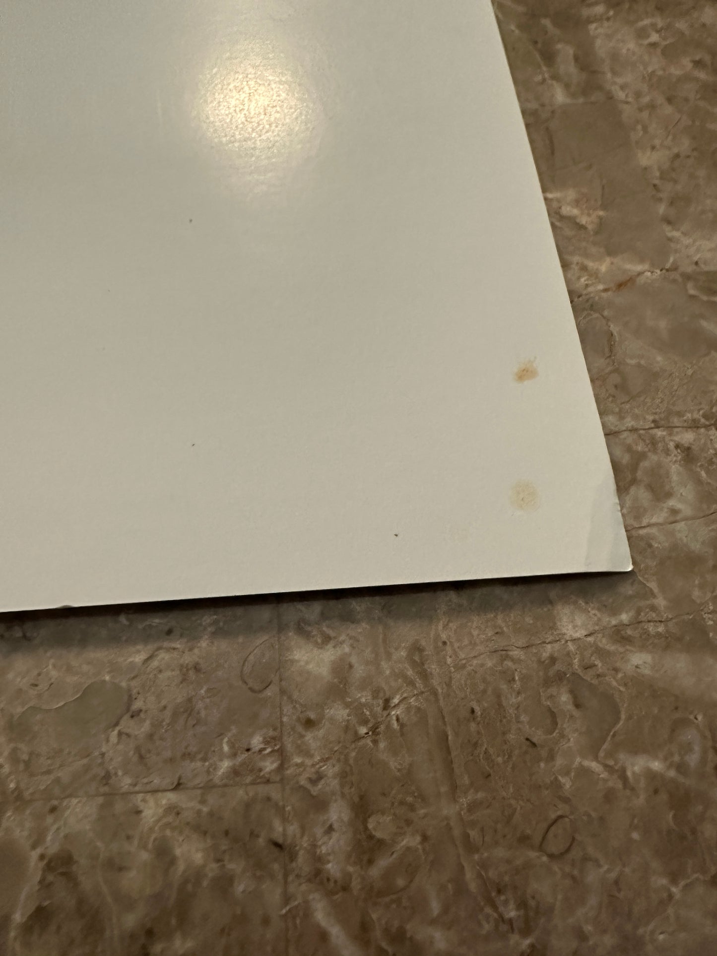 Spider-Gwen/Miles Morales Custom Art Prints - Denzell Draws