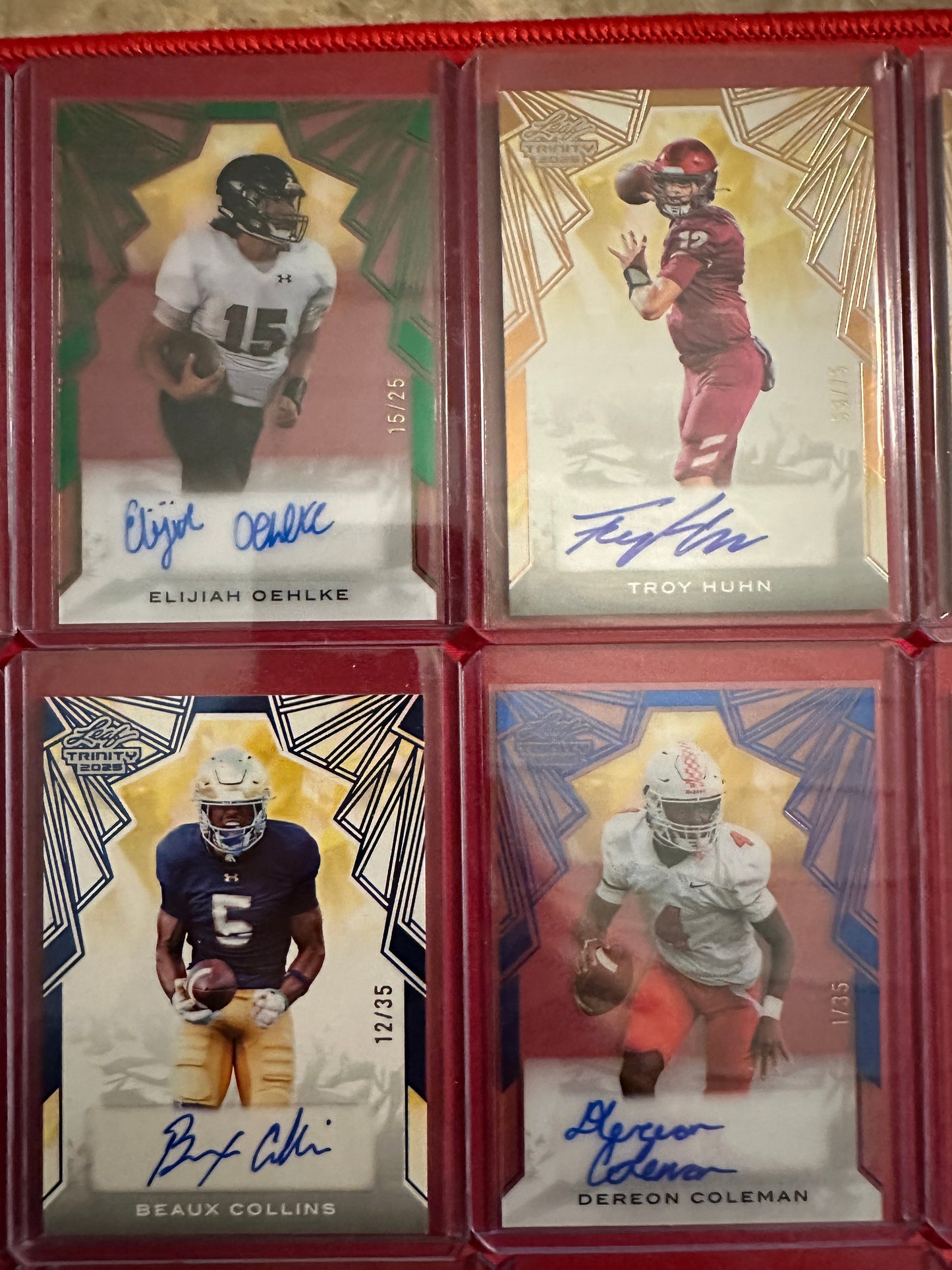 Huge Trinity Auto Lot 17x RC Autos 2025 Leaf Trinity SP