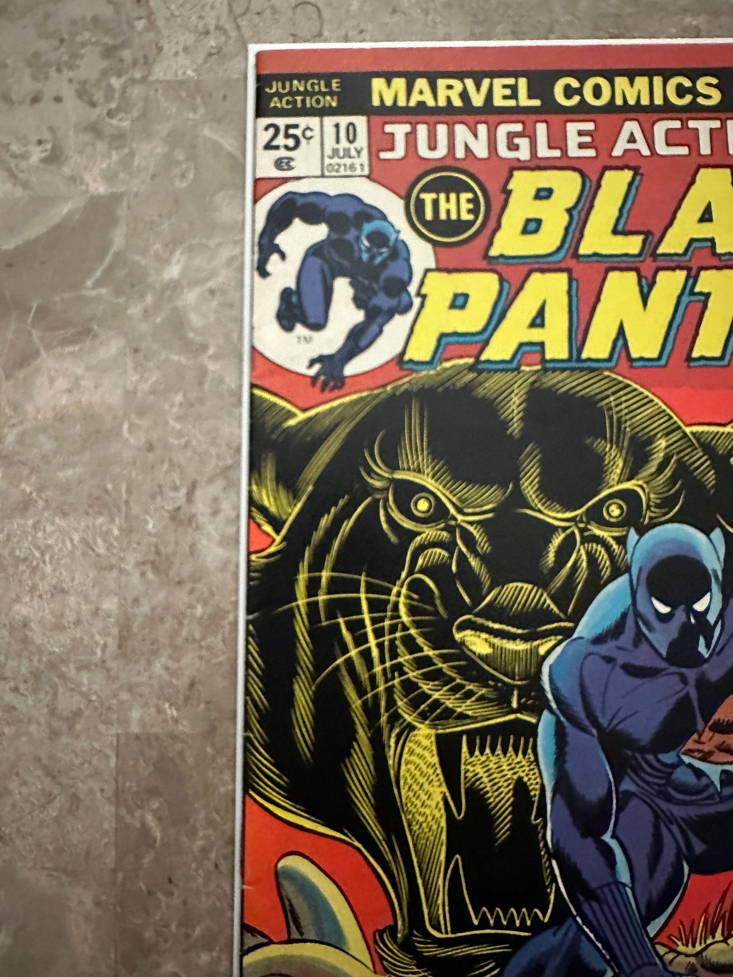 Jungle Action Black Panther #10 FN/VF 7.0 (1974 Marvel Comics)