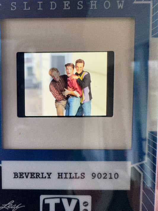 2026 Leaf Slideshow Beverly Hills 90210 4 Slide Lot Luke Perry Shannen Doherty