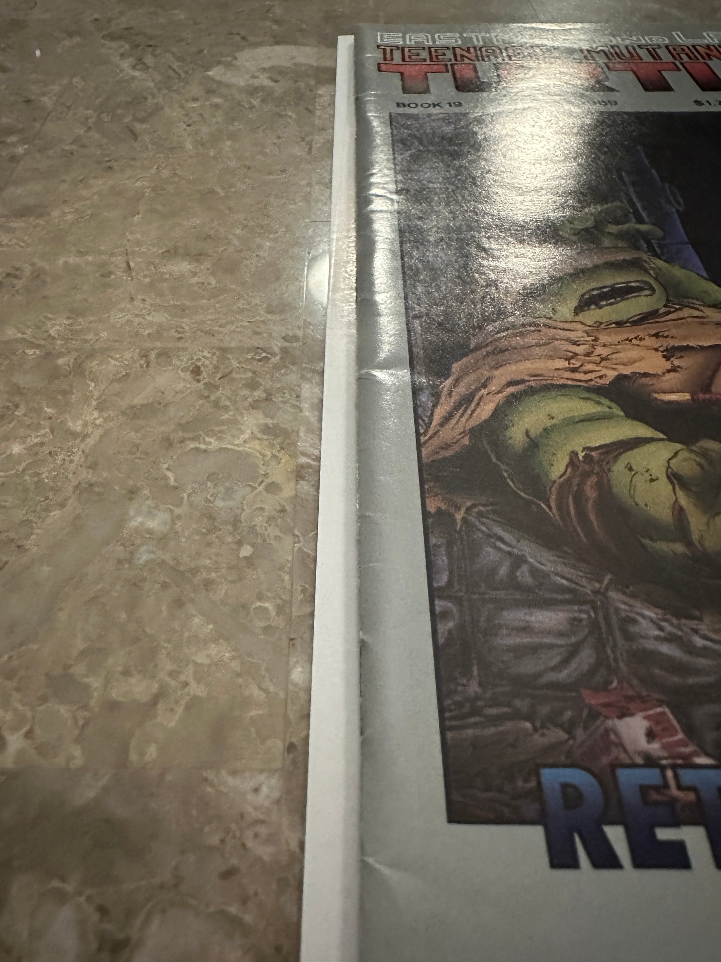 Teenage Mutant Ninja Turtles #19 FN+ 6.5 (1989 Mirage Studios)