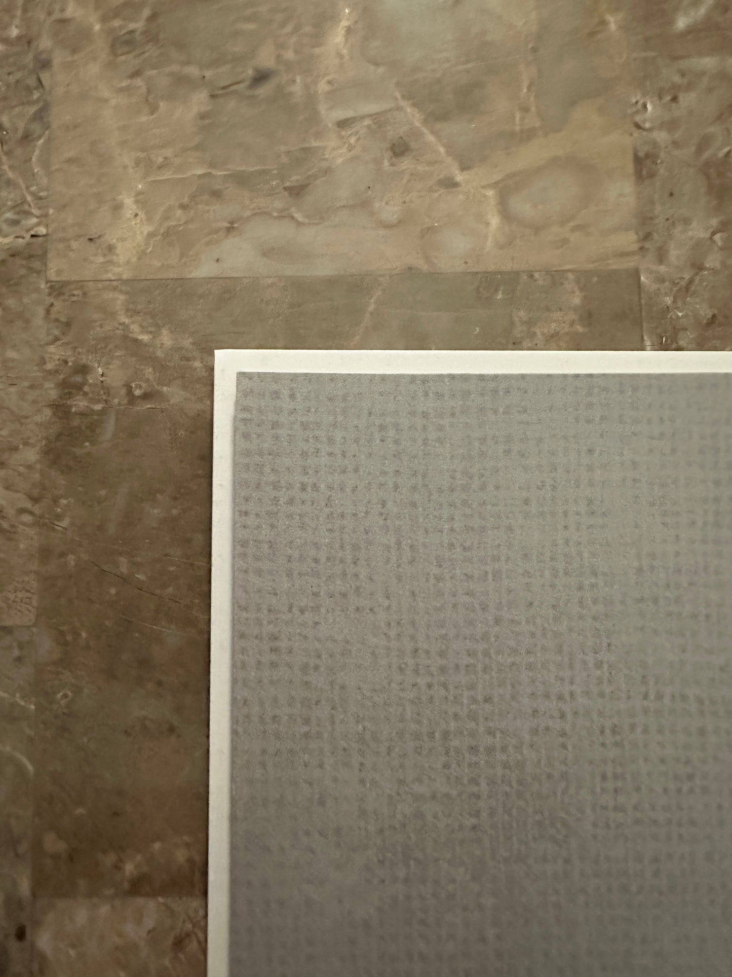 Spider-Woman #1 Limited 1:100 NM+ 9.6-9.8 (Marvel 2024) - Ejikure Virgin