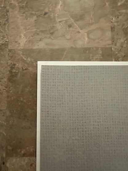 Spider-Woman #1 Limited 1:100 NM+ 9.6-9.8 (Marvel 2024) - Ejikure Virgin