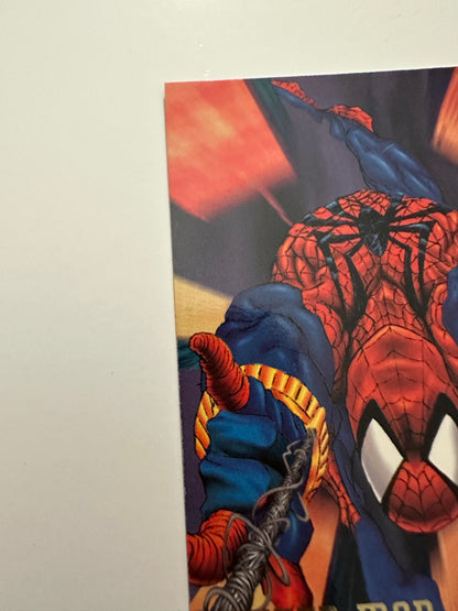 Spider-Man #11 (1995 Fleer DC vs. Marvel) - High grade