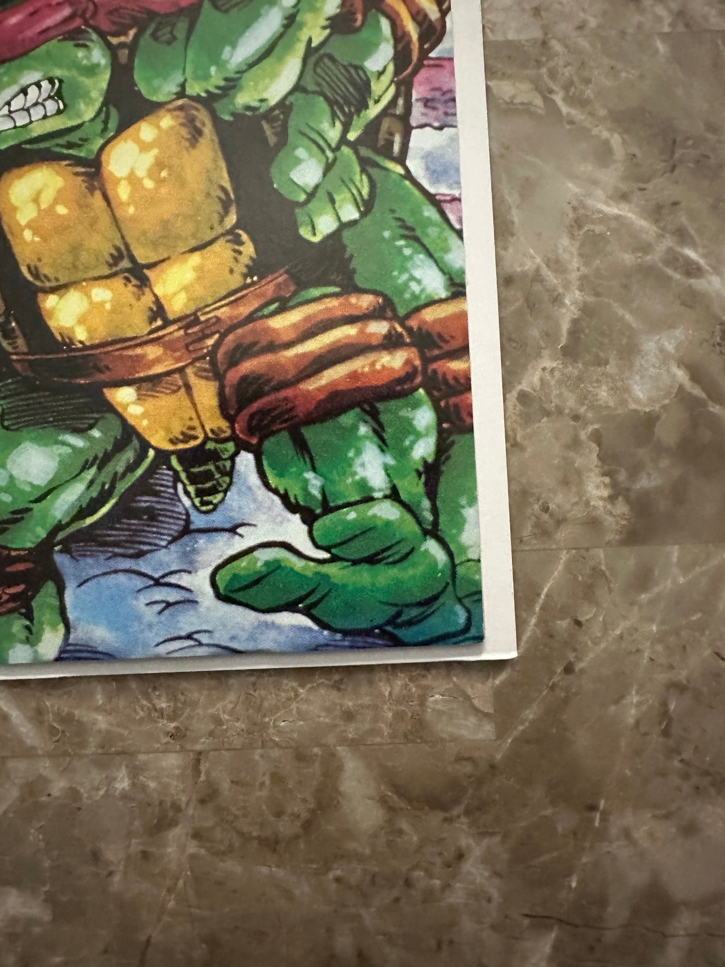 Tales of the Teenage Mutant Ninja Turtles #1 VF+ 8.5 (1987 Mirage Studios)