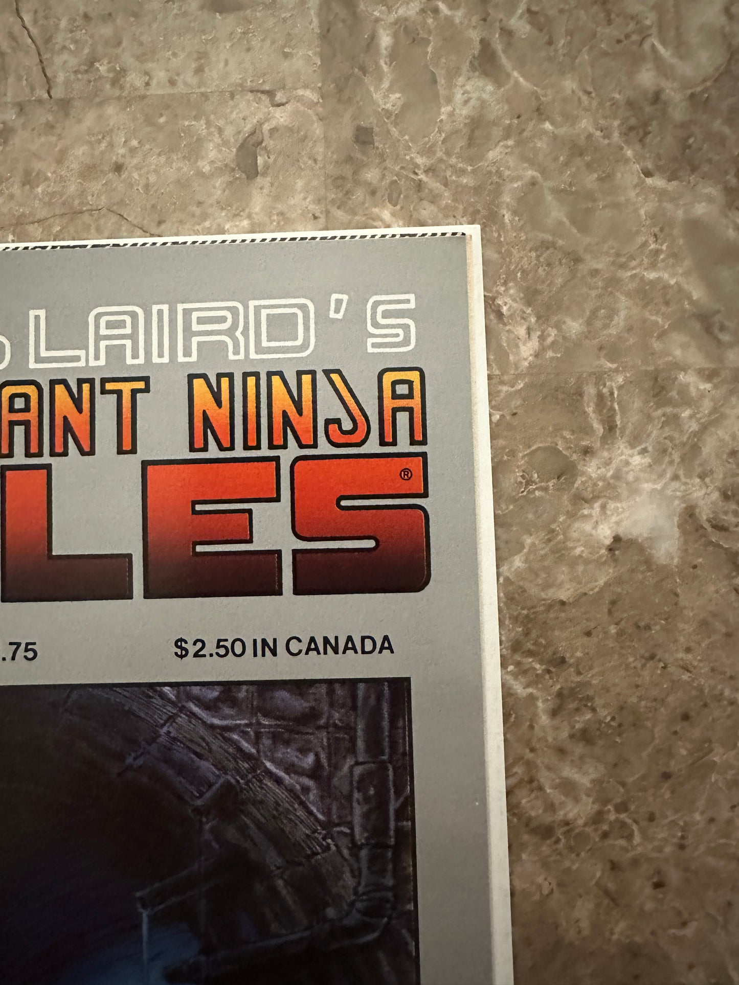 Teenage Mutant Ninja Turtles #19 VF/NM 9.0 (1989 Mirage Studios)