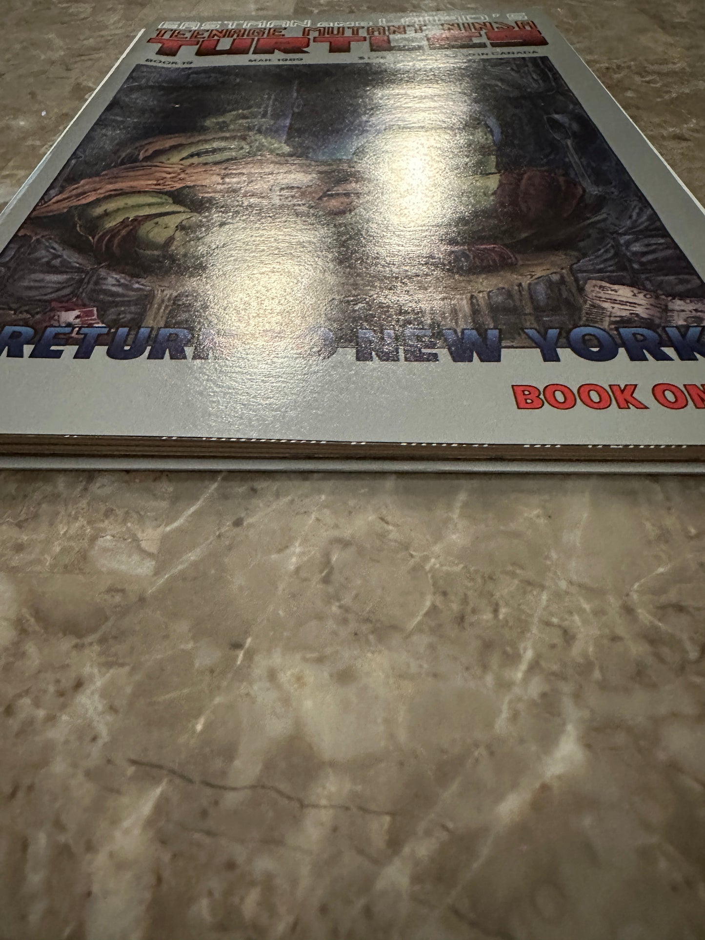 Teenage Mutant Ninja Turtles #19 VF/NM 9.0 (1989 Mirage Studios)