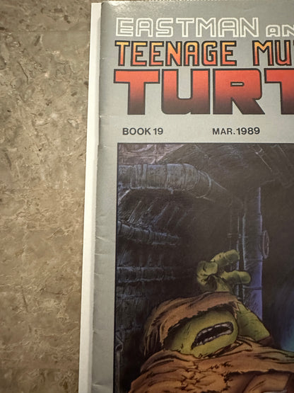 Teenage Mutant Ninja Turtles #19 FN+ 6.5 (1989 Mirage Studios)