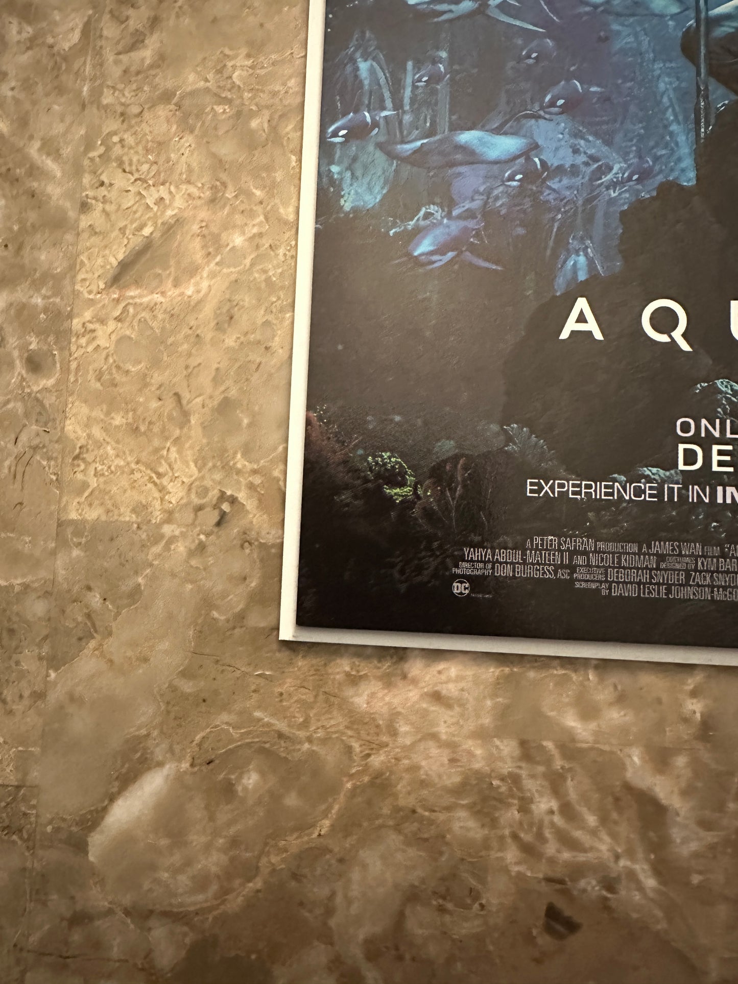 Catwoman #6 NM 9.4 (2019 DC) - Lau Variant Cover