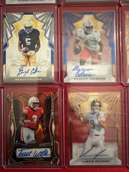 Huge Trinity Auto Lot 17x RC Autos 2025 Leaf Trinity SP
