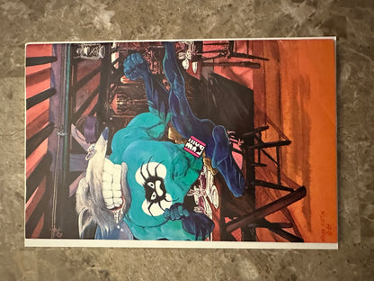 Teenage Mutant Ninja Turtles #23 FN 6.0 (1989 Mirage Studios)