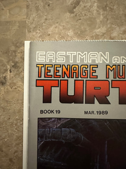 Teenage Mutant Ninja Turtles #19 VF/NM 9.0 (1989 Mirage Studios)