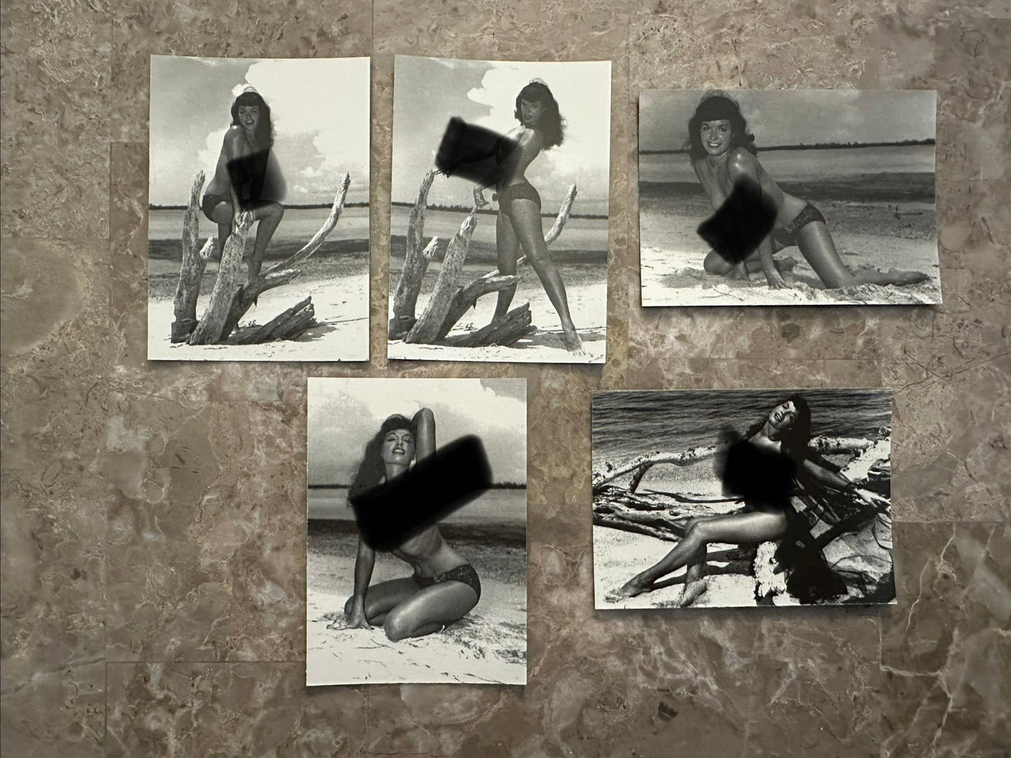 The Bunny & Bettie Page Quiz Contest Answers 5 Card Set (1995 21st Century)