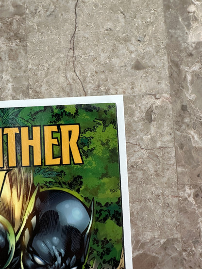 Black Panther Shuri The Deadliest of Species (2018 Marvel)