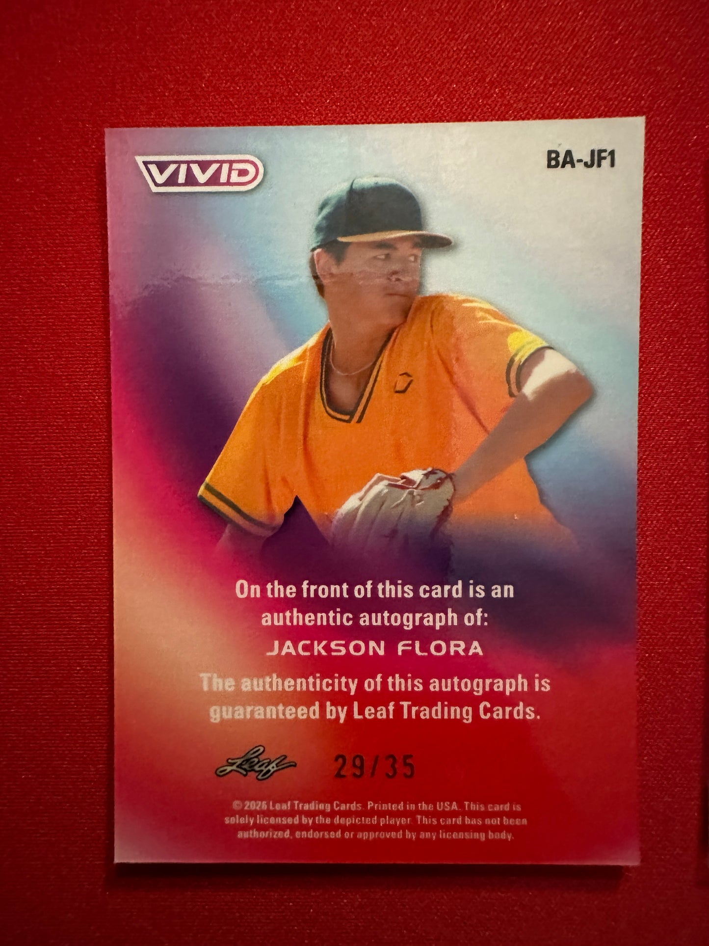 2026 Leaf Vivid Jackson Flora LOT Auto /35 Techno + 1/1 Clear Acetate UCSB