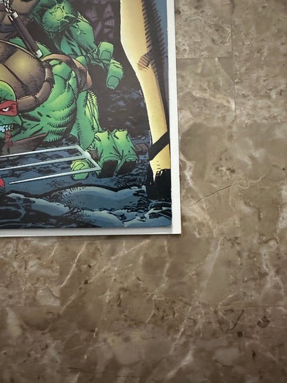 Teenage Mutant Ninja Turtles #2 FN+ 6.5 (1996 Image)