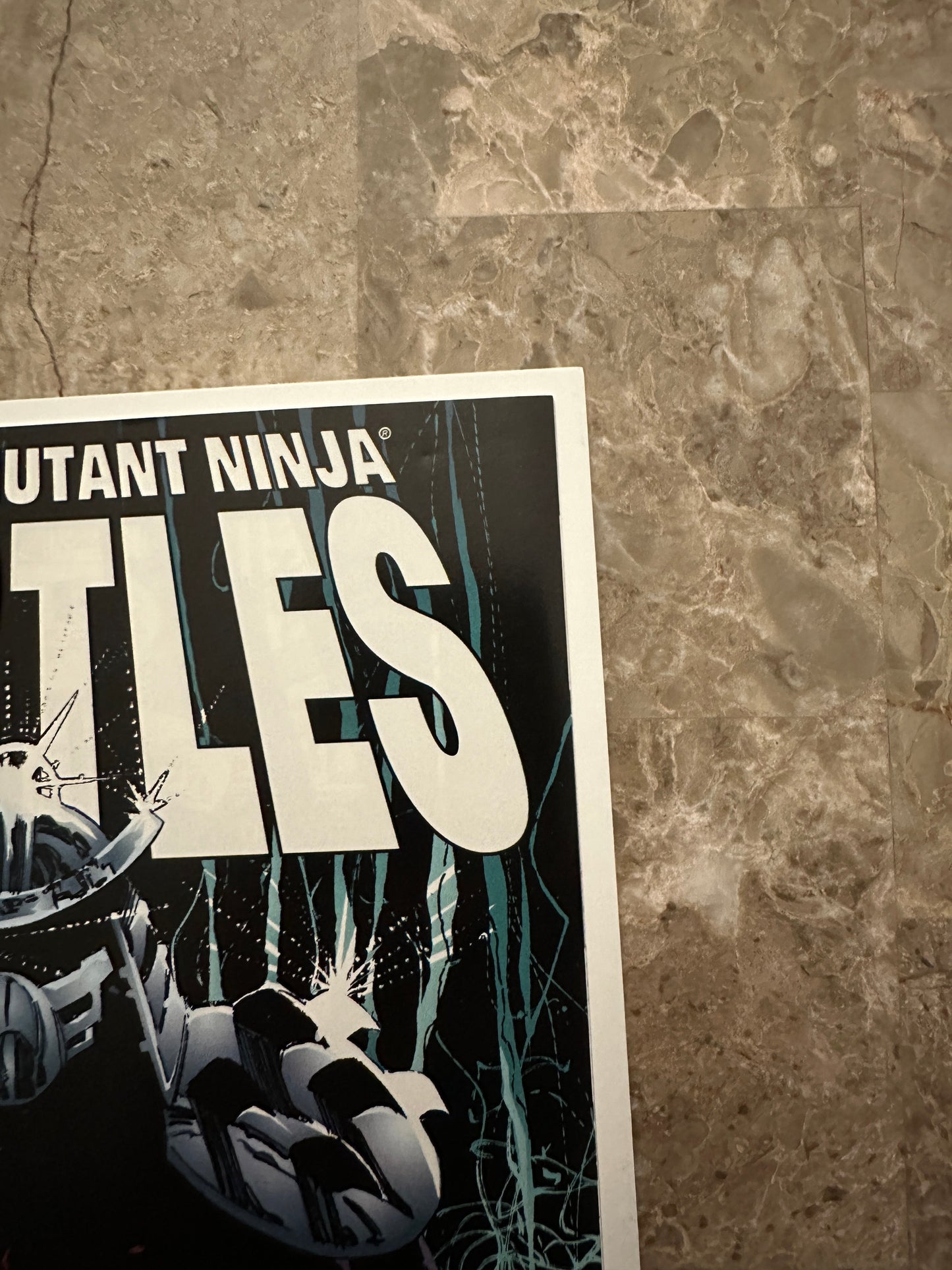 Teenage Mutant Ninja Turtles #13 FN+ 6.5 (1996 Image Comics)