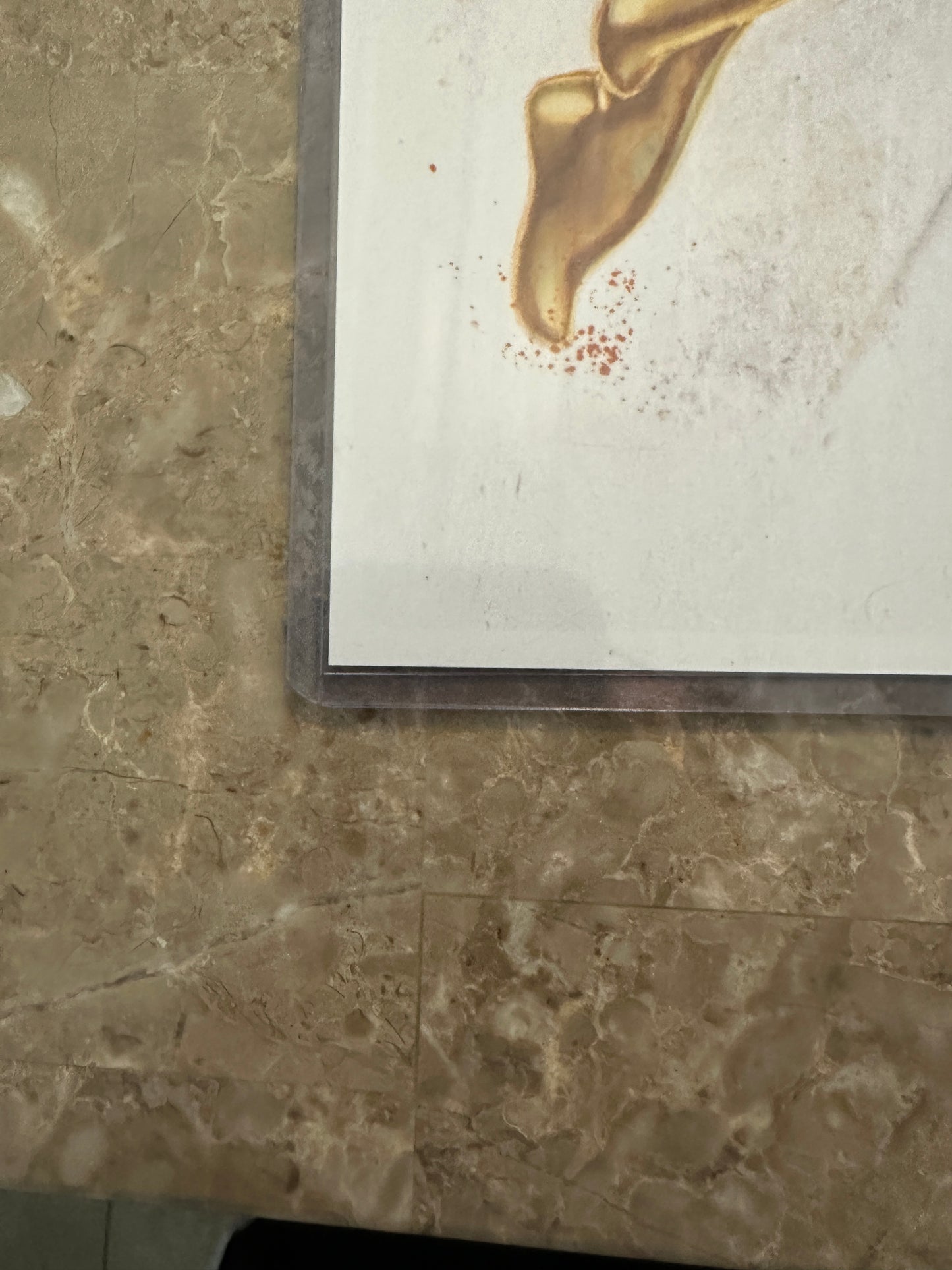 The Phoenix Limited Print 11" x 17" Signed by Natali Sanders w/ KRS Comics COA