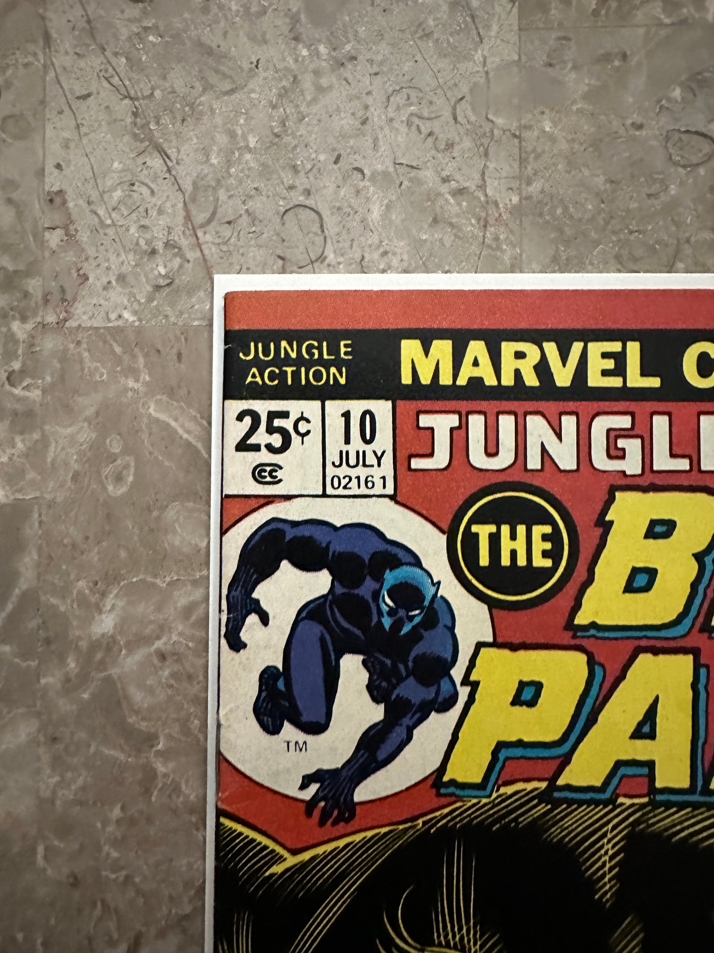 Jungle Action Black Panther #10 FN/VF 7.0 (1974 Marvel Comics)