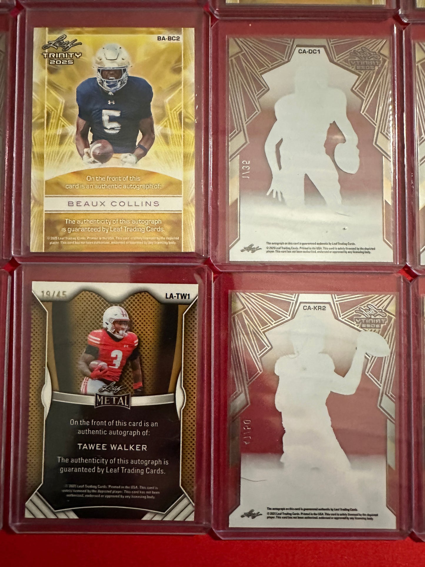 Huge Trinity Auto Lot 17x RC Autos 2025 Leaf Trinity SP