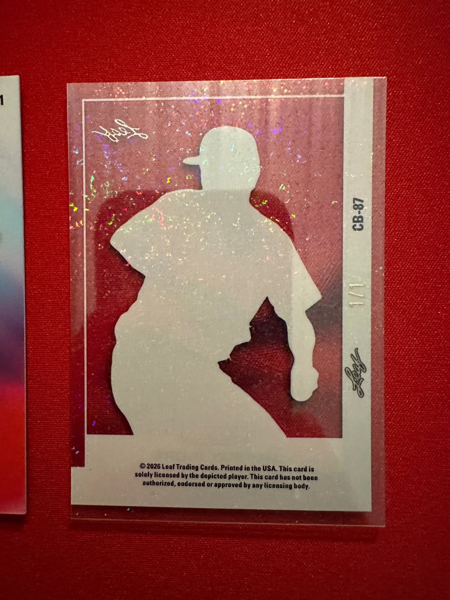 2026 Leaf Vivid Jackson Flora LOT Auto /35 Techno + 1/1 Clear Acetate UCSB