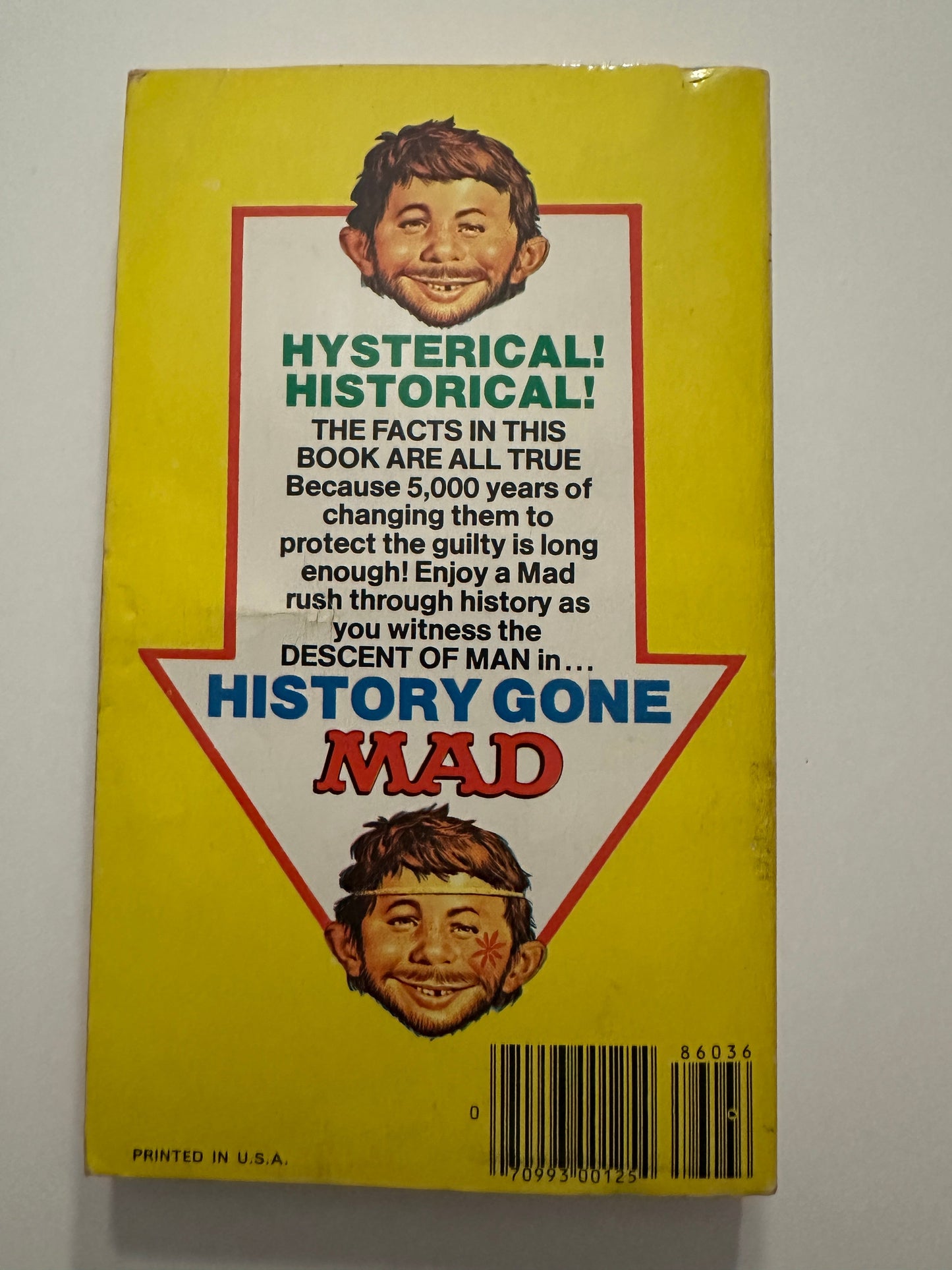 History Gone Mad Paperback (1977 1st Edition)