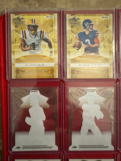 Huge Trinity Auto Lot 17x RC Autos 2025 Leaf Trinity SP