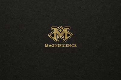 Leaf Magnificence Multi-Sport 10-Box Case (2026)