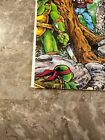 Teenage Mutant Ninja Turtles #12 (1987 Mirage Studios) - VF/NM