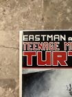 Teenage Mutant Ninja Turtles #17 (1989 Mirage Studios) - NM-