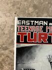 Teenage Mutant Ninja Turtles #17 (1989 Mirage Studios) - VF-