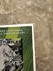 Teenage Mutant Ninja Turtles #1 NM (2024 IDW) - 1:100 Momoko