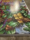 Tales of the Teenage Mutant Ninja Turtles #1 VF+ 8.5-9.0 (1987 Mirage Studios)