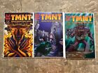 Teenage Mutant Ninja Turtles #1-13 (2001 Mirage) - Higher Grade