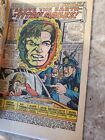 Incredible Hulk  #106 (Marvel Comics 1968) - FN-