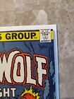 Vintage Werewolf by Night #41 (Marvel Comics 1975)