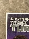 Teenage Mutant Ninja Turtles #11 (1987 Mirage Studios) - FN+