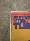 Teenage Mutant Ninja Turtles #46 9.2 NM- (1989 Mirage) - Nice looking copy