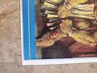 Teenage Mutant Ninja Turtles #35 (1991 Mirage Studios) - High Grade