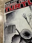 Teenage Mutant Ninja Turtles #17 (1989 Mirage Studios) - VF+