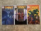 Teenage Mutant Ninja Turtles #1-13 (2001 Mirage) - Higher Grade