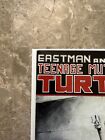 Teenage Mutant Ninja Turtles #17 NM (1989 Mirage Studios)