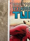 Teenage Mutant Ninja Turtles #5 2nd Print VF- (1987 Mirage Studios)