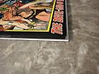 Conan the Barbarian #17 (1972 Marvel Comics) - High Grade