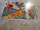 Amazing Spider-Man #172 (1977 Marvel Comics) - FN-