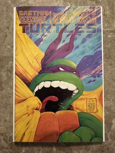 Teenage Mutant Ninja Turtles #22 VF+ (1989 Mirage Studios)