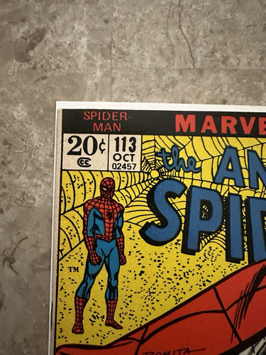 Amazing Spiderman #113 VF 8.0 (Marvel Comics 1972) - Nice copy