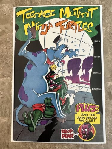 Teenage Mutant Ninja Turtles #38 (1991 Mirage Studios) - VF+