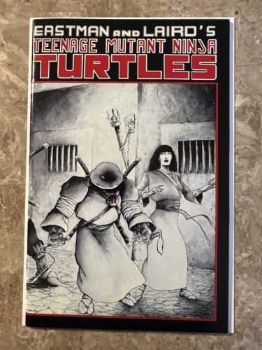 Teenage Mutant Ninja Turtles #17 (1989 Mirage Studios) - VF+